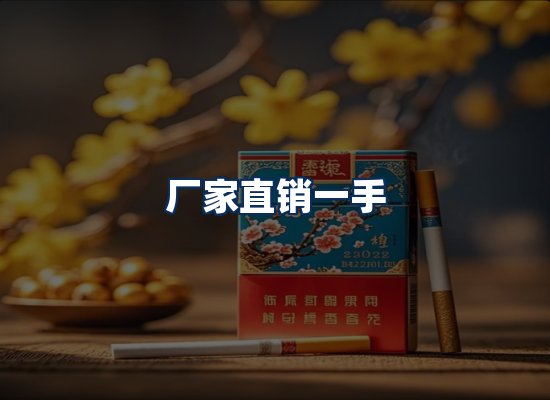 专业团队办公环境